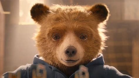 Paddington in Peru 2025